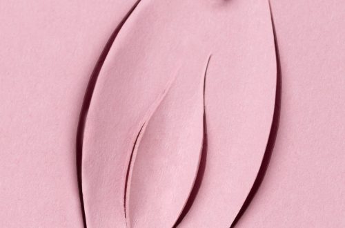 Sistema Reprodutivo Feminino